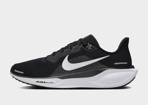 Pegasus 41