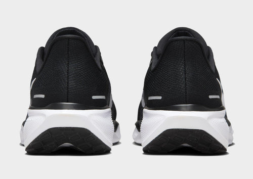 Pegasus 41