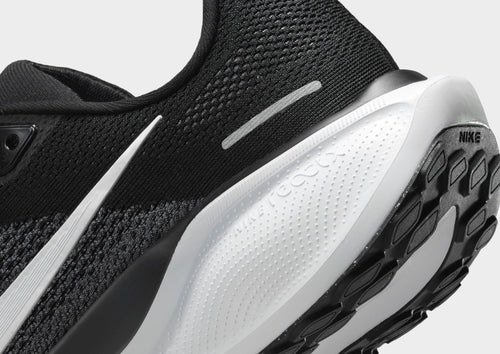 Pegasus 41