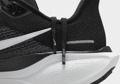Pegasus 41