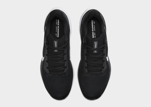 Pegasus 41