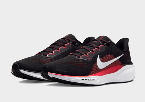 Pegasus 41