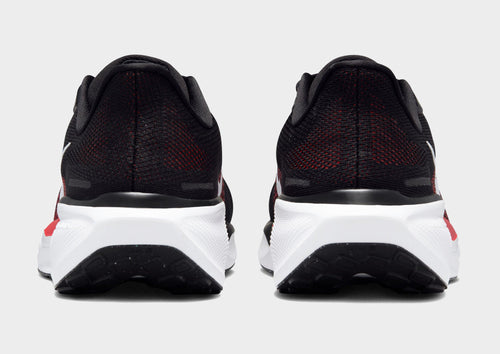 Pegasus 41