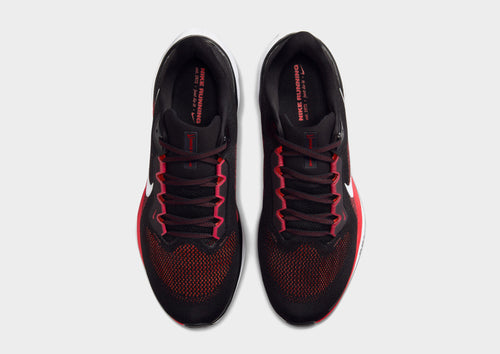 Pegasus 41