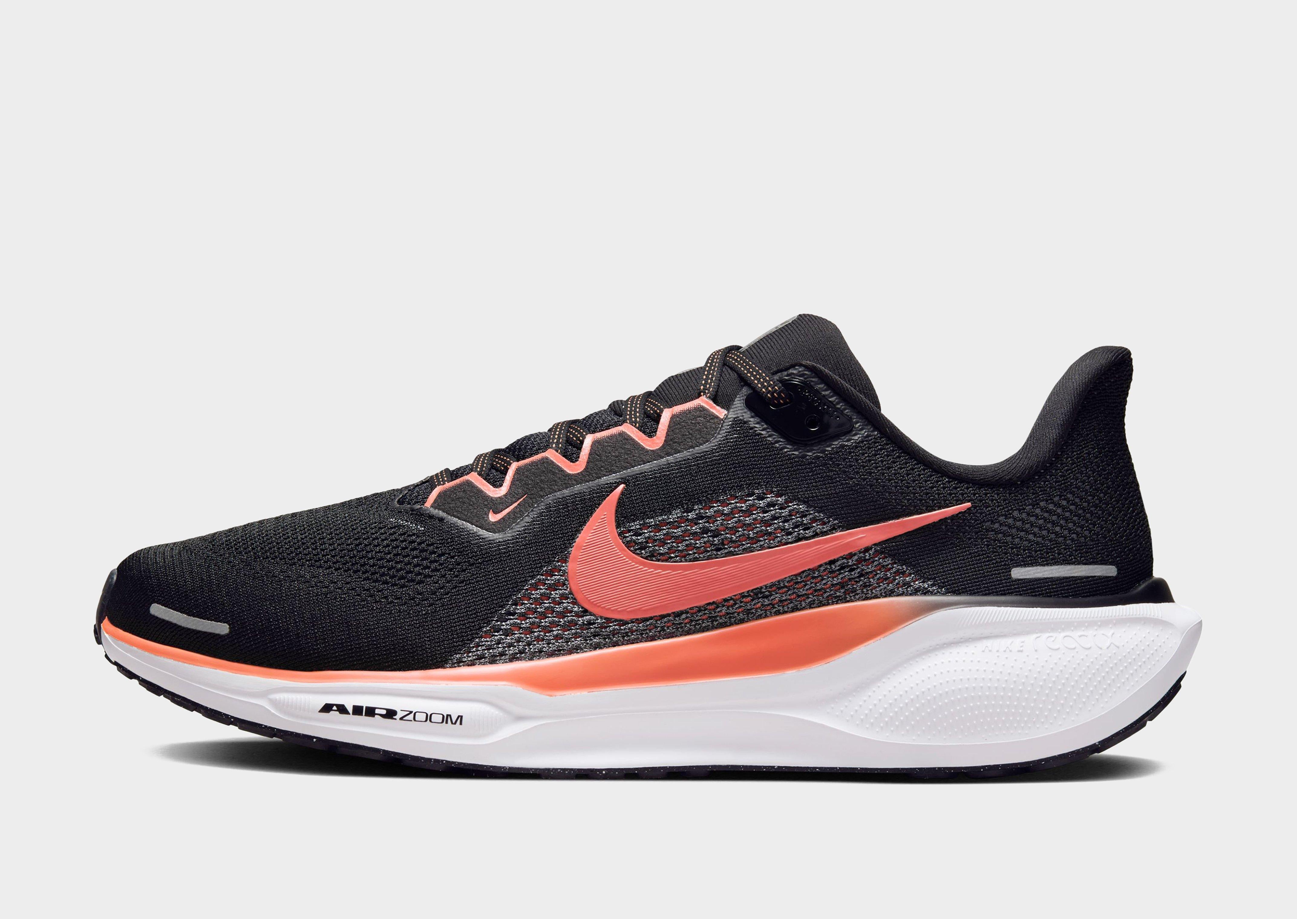 Pegasus 41