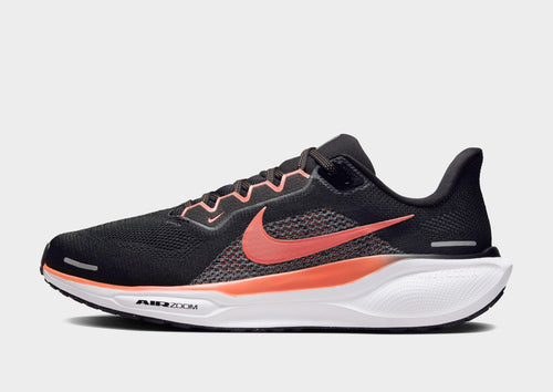 Pegasus 41
