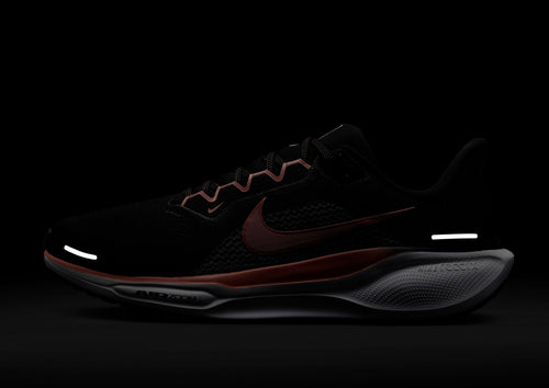 Pegasus 41