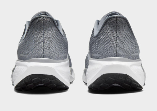 Pegasus 41