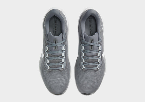 Pegasus 41
