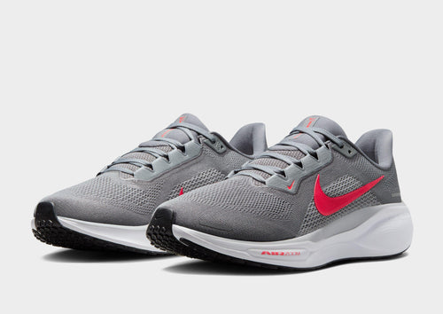 Pegasus 41