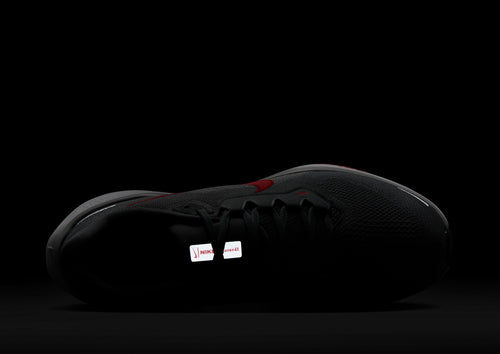Pegasus 41