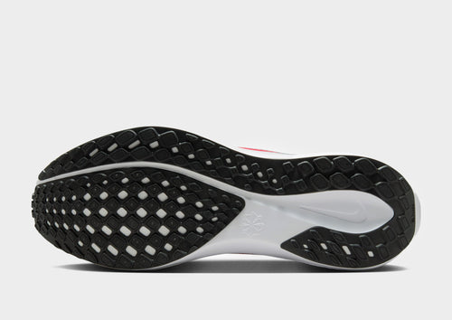 Pegasus 41