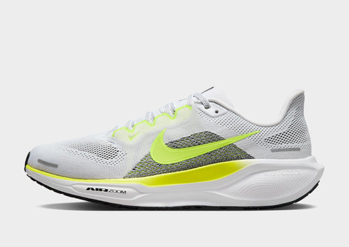 Pegasus 41