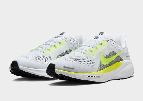 Pegasus 41