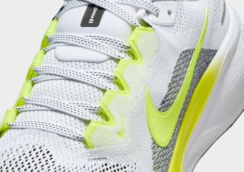 Pegasus 41