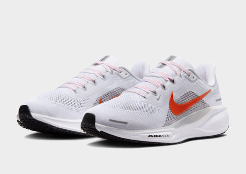 Pegasus 41