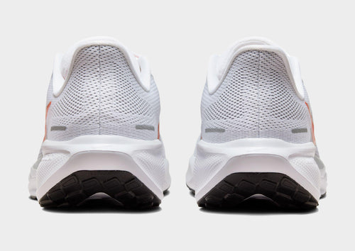 Pegasus 41