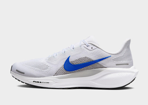 Pegasus 41