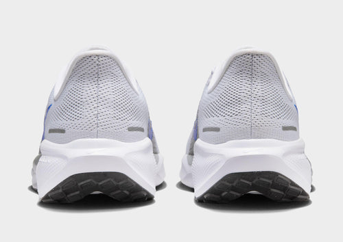 Pegasus 41