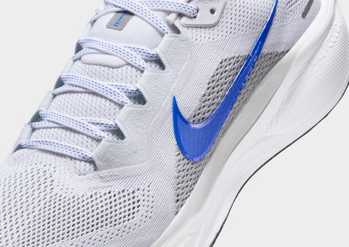 Pegasus 41