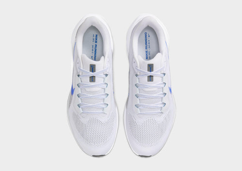 Pegasus 41