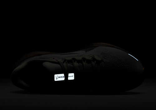 Pegasus 41 Women's