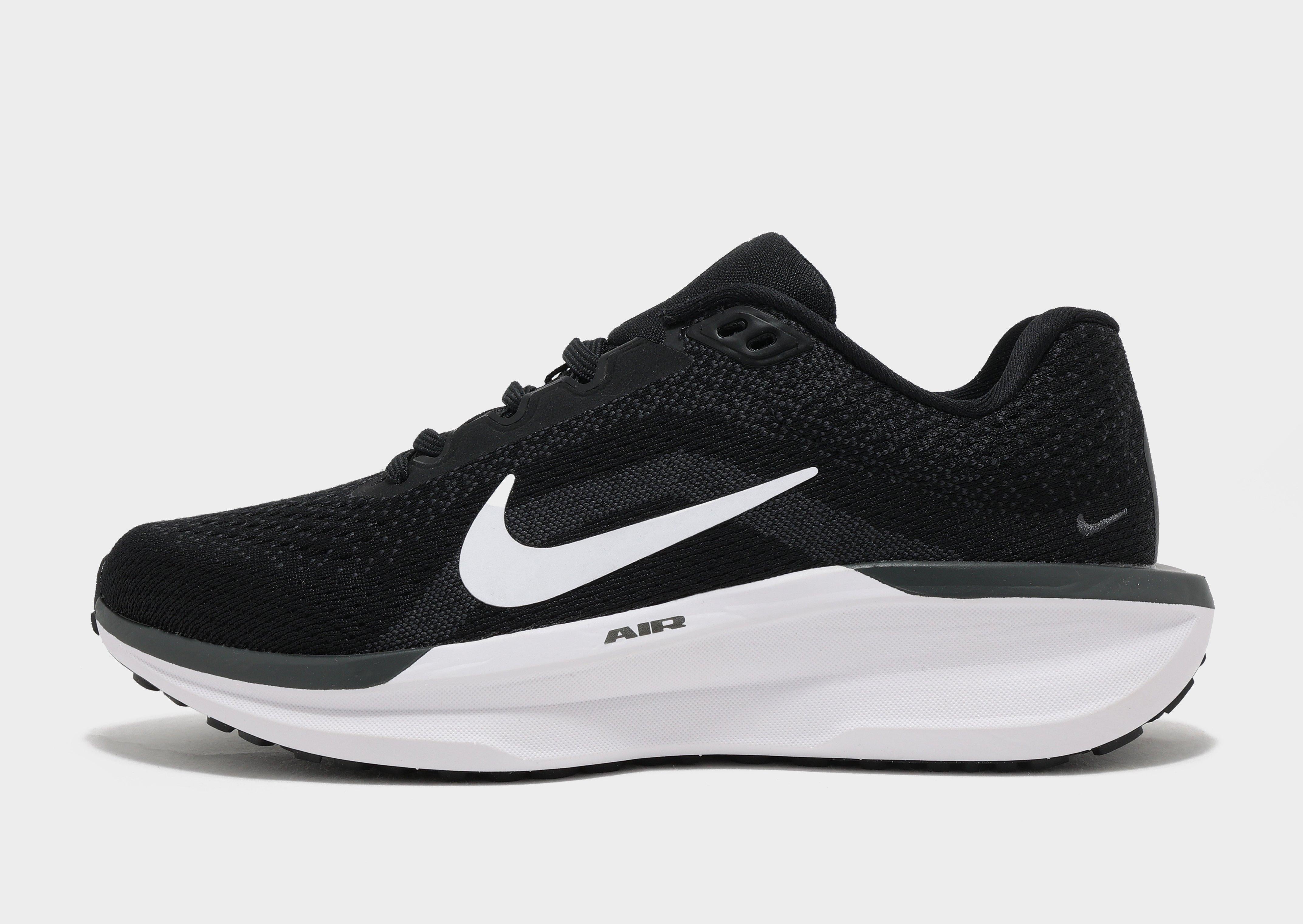 Air Winflo 11 Women's