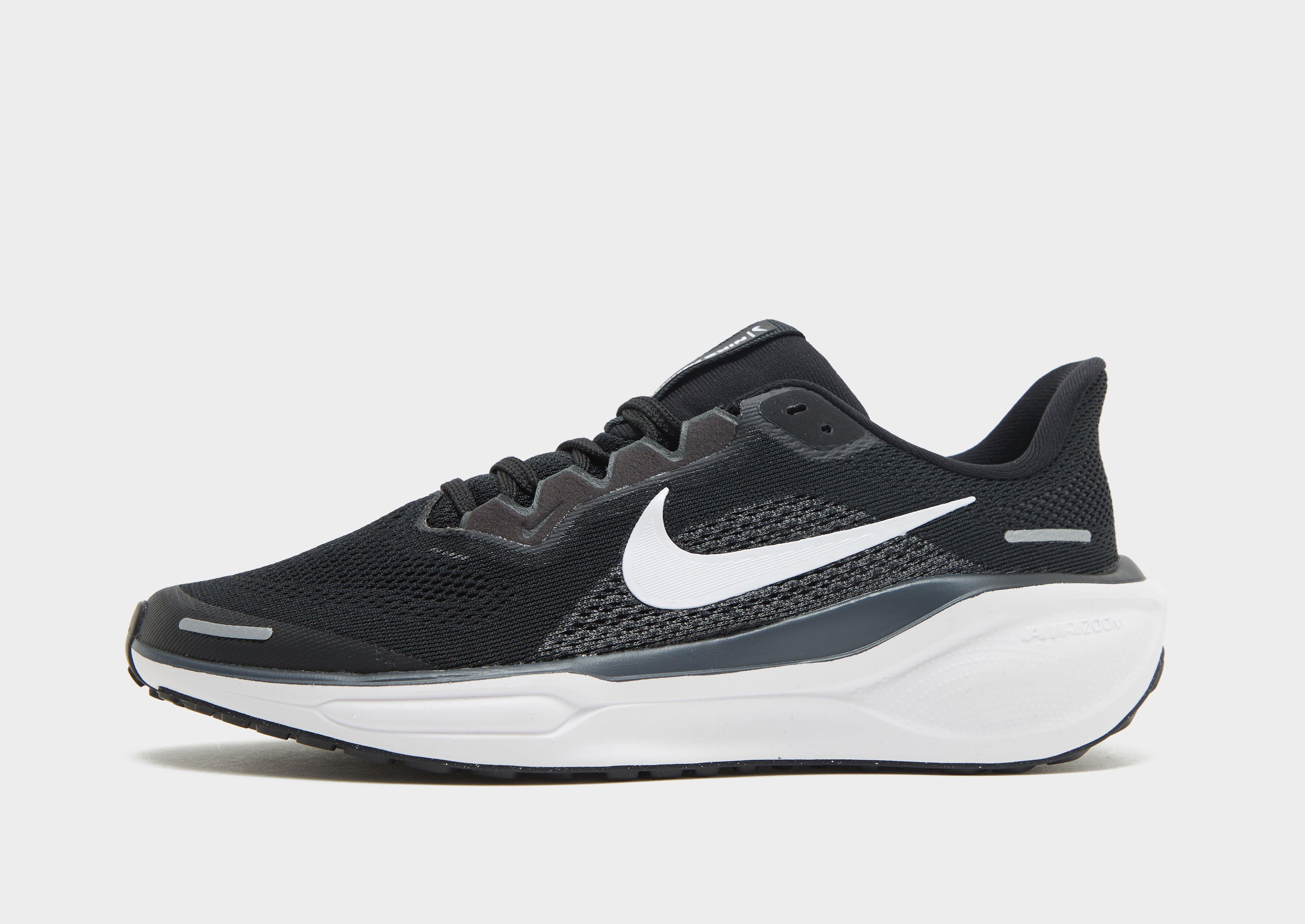 Pegasus 41 Junior's