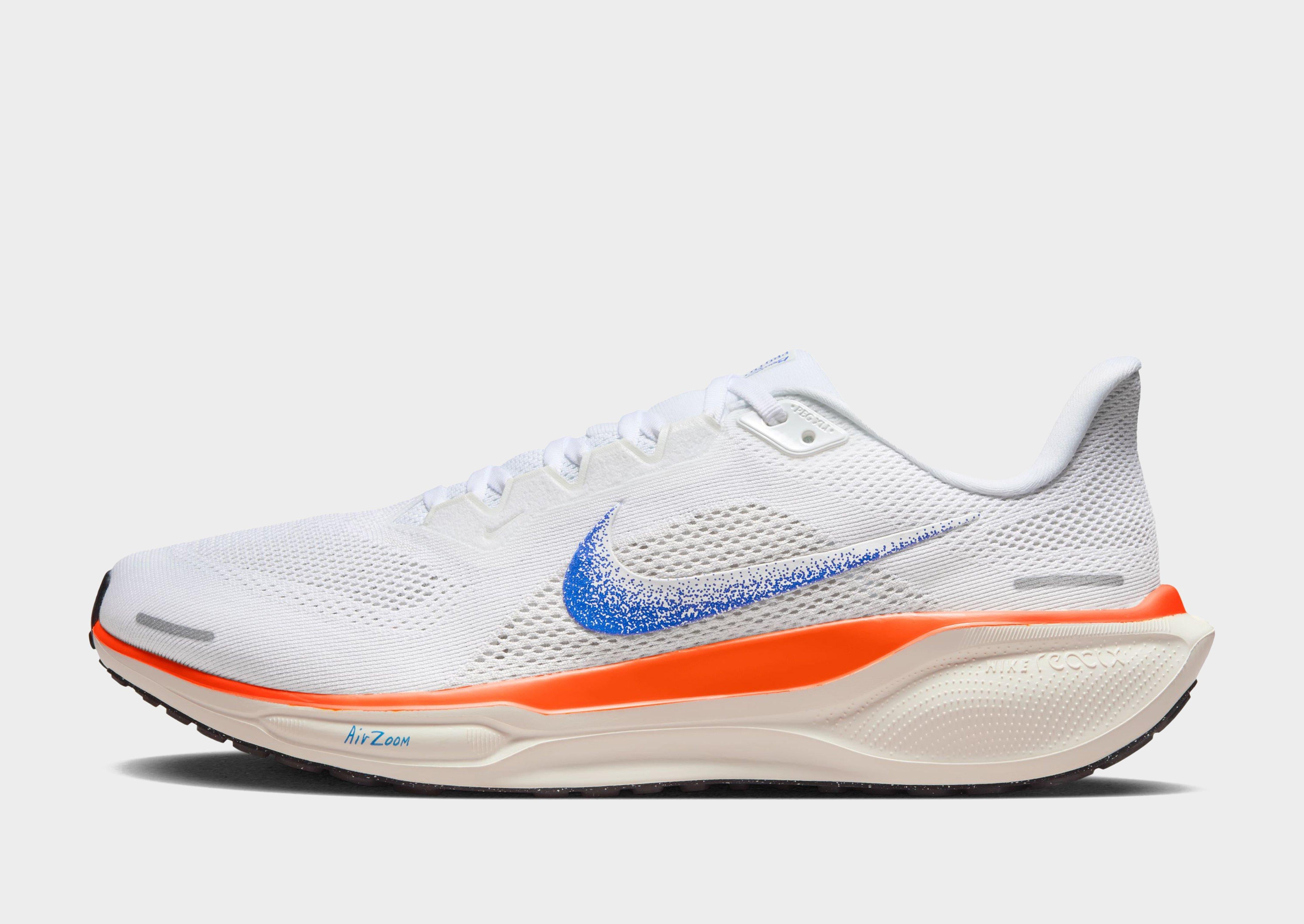 Pegasus 41