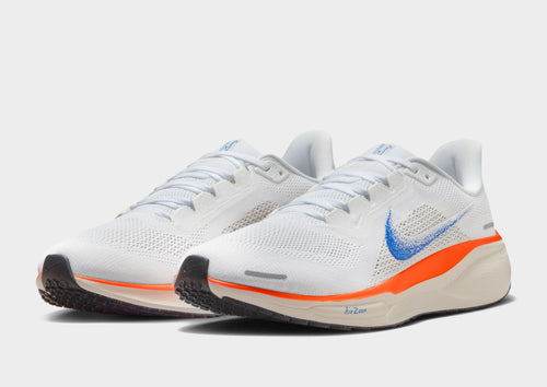 Pegasus 41