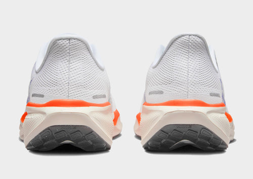 Pegasus 41