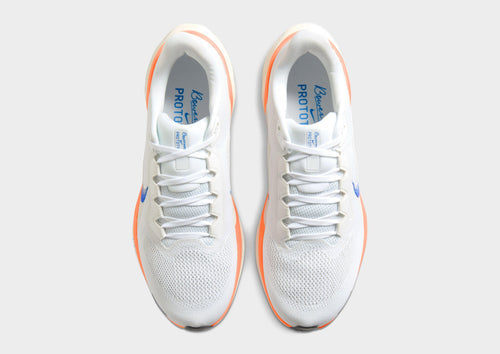 Pegasus 41