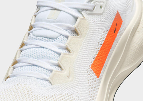 Pegasus 41