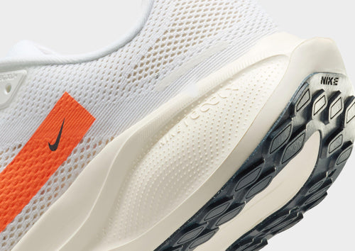 Pegasus 41