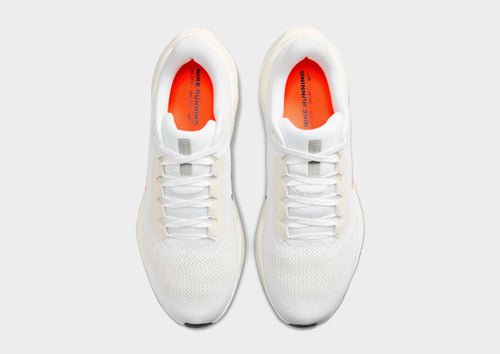 Pegasus 41