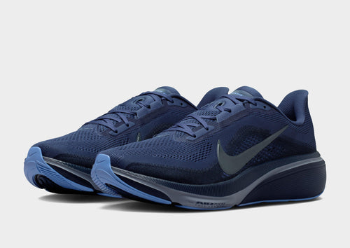 Pegasus 42