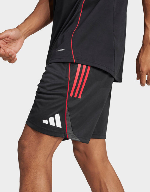 Ajax Training Shorts