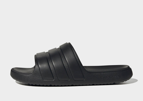Znsory Slides