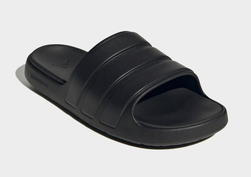 Znsory Slides