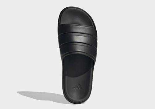 Znsory Slides