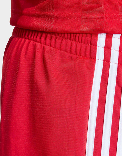 Firebird Shorts