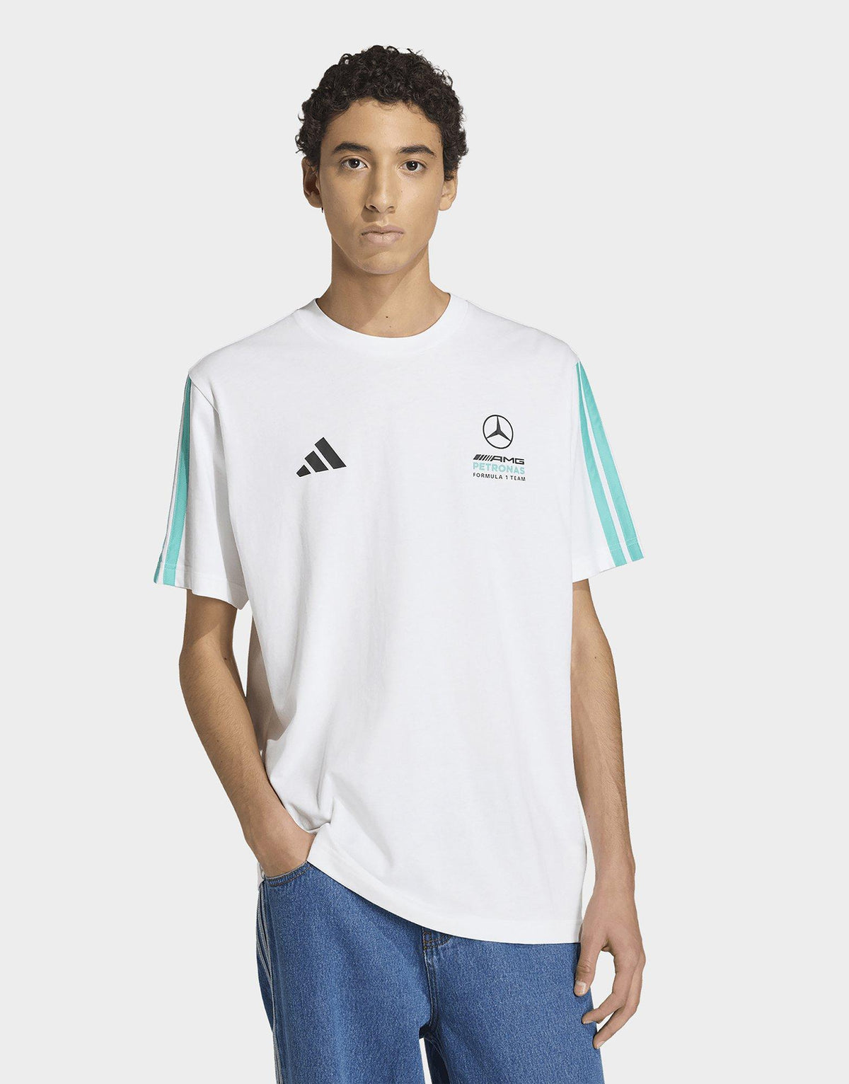 Mercedes - Amg Petronas Formula 1 Team Dna T-Shirt