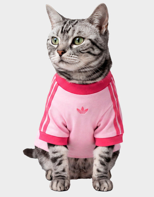 Pet Cali T-Shirt