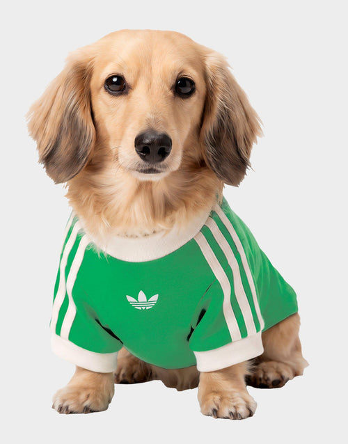 Pet Cali T-Shirt