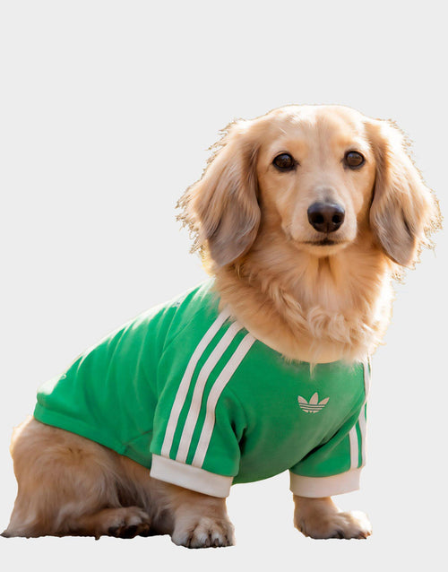 Pet Cali T-Shirt