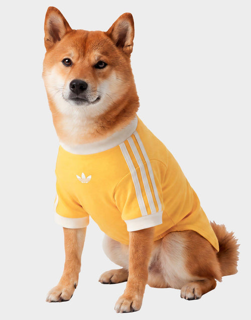 Pet Cali T-Shirt
