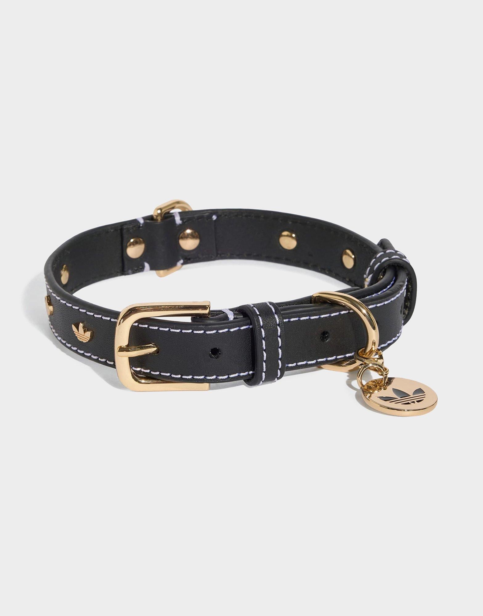 Pet Collar
