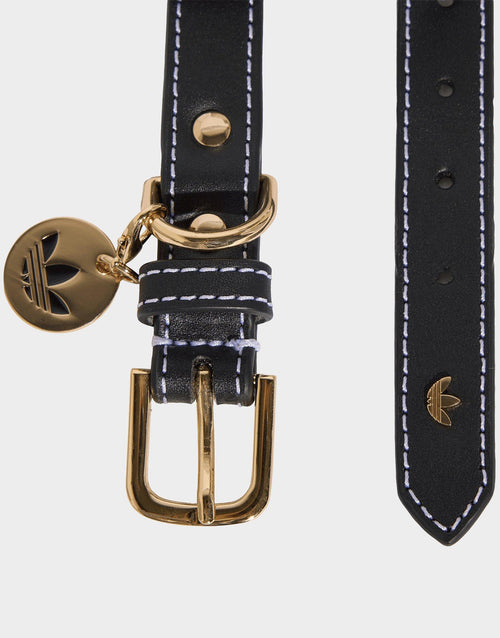 Pet Collar