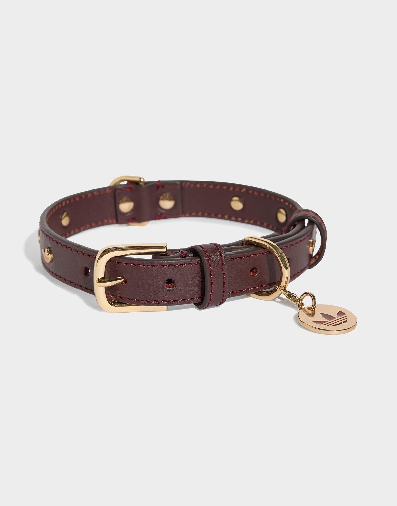 Pet Collar
