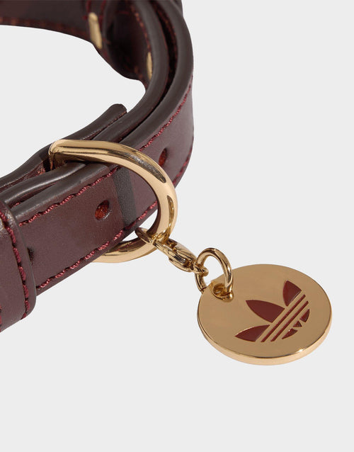 Pet Collar